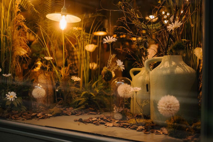 Detalle de escaparate con cúpula de diente de león. Flor de Sauco. Floristería Ponferrada