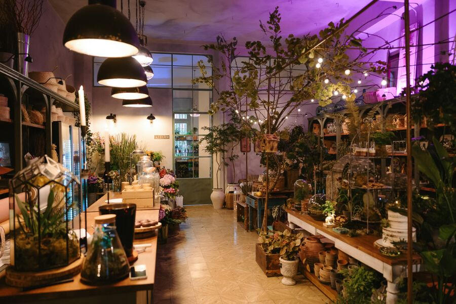 Tienda panorámica Panorámica de la tienda Flor de Sauco. Floristería en Ponferrada.