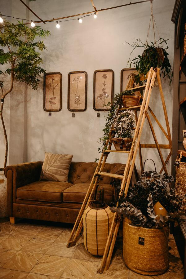 Esquina chester. Floristería Flor de Sauco - Ponferrada