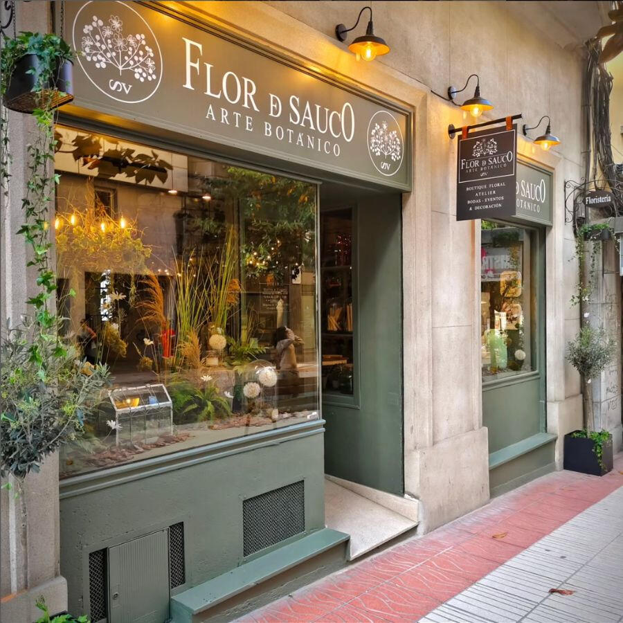 Flor de sauco SV - Floristería Ponferrada