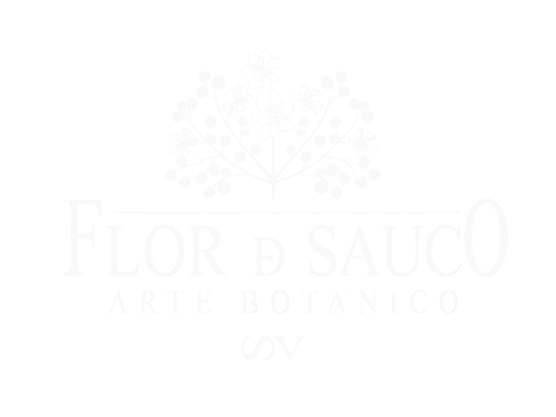 Logo Flor de Sauco - Floristería Ponferrada