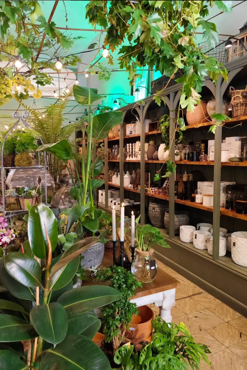 Tienda Flor de Sauco Interior de la tienda de Flor de Sauco